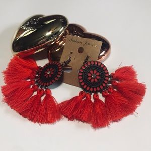 Beautiful Fashion Earrings fringe